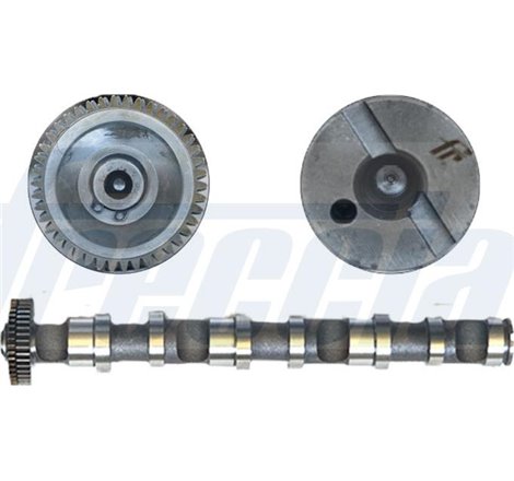 Ax cu came - Freccia-CM05-2188