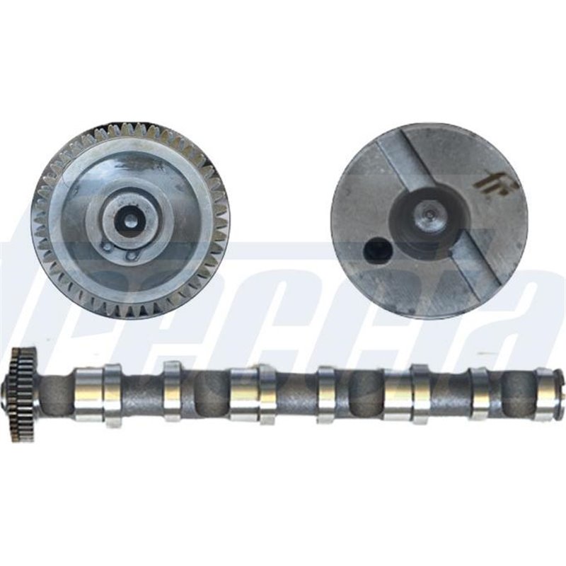 Ax cu came - Freccia-CM05-2188