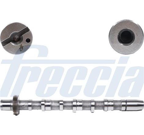 Ax cu came - Freccia-CM05-2189