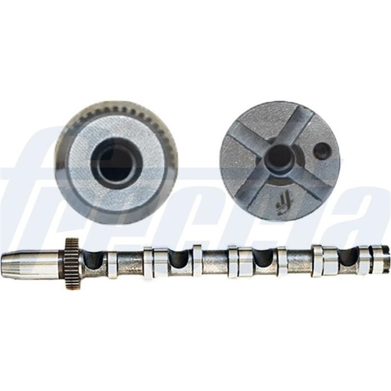 Ax cu came - Freccia-CM05-2190