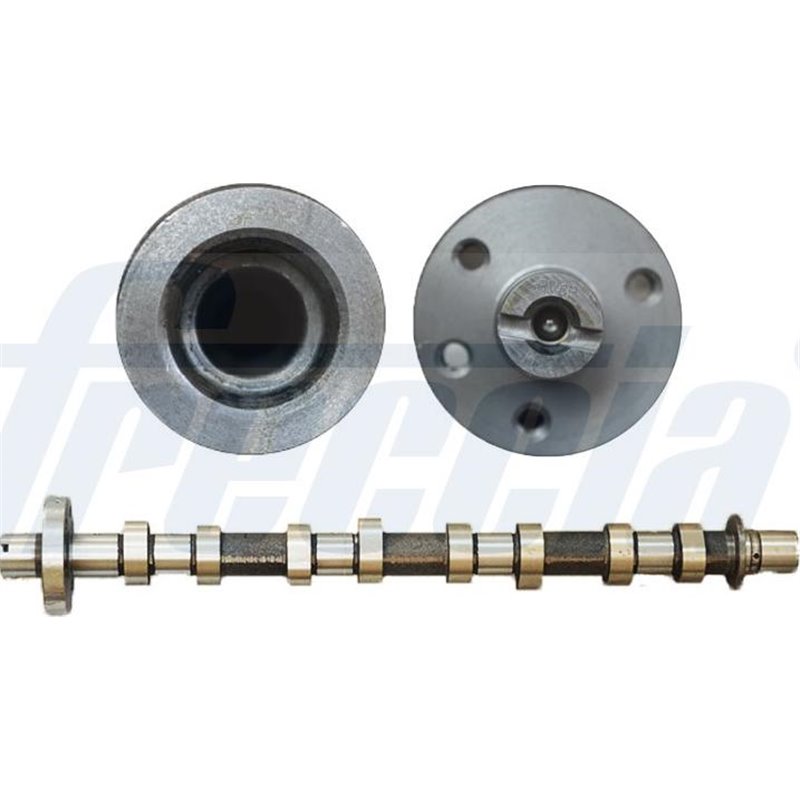 Ax cu came - Freccia-CM05-2194