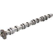 Ax cu came - Freccia-CM05-2196