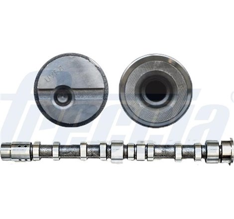 Ax cu came - Freccia-CM05-2197