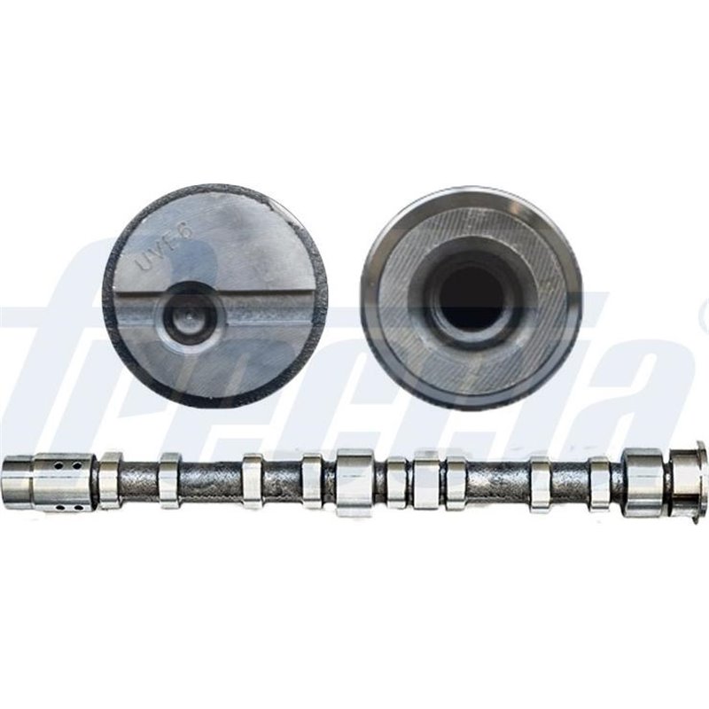 Ax cu came - Freccia-CM05-2197