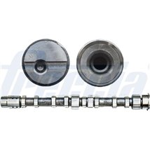 Ax cu came - Freccia-CM05-2197