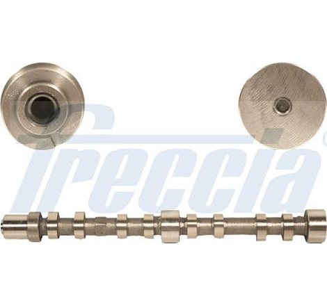 Ax cu came - Freccia-CM05-2200