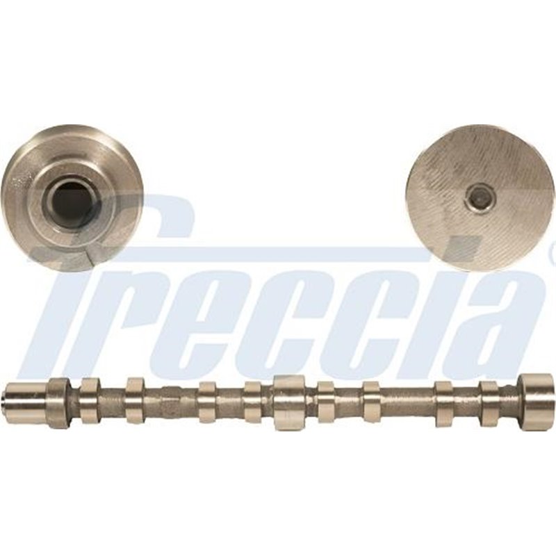 Ax cu came - Freccia-CM05-2200
