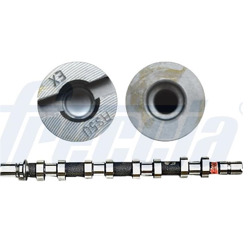 Ax cu came - Freccia-CM05-2212