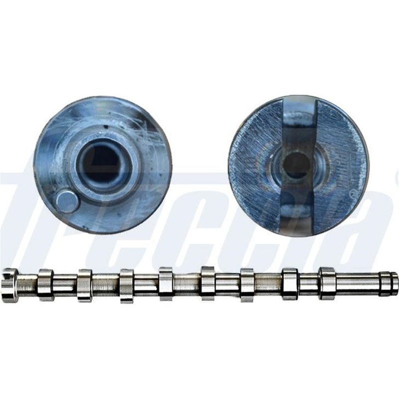 Ax cu came - Freccia-CM05-2231