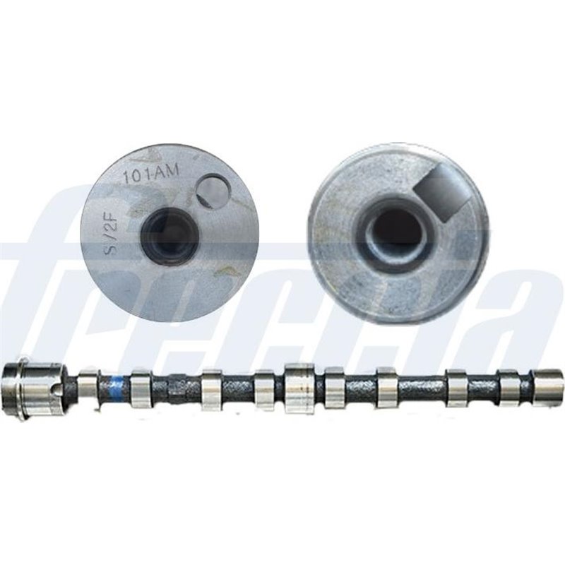 Ax cu came - Freccia-CM05-2240