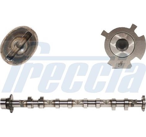 Ax cu came - Freccia-CM05-2248