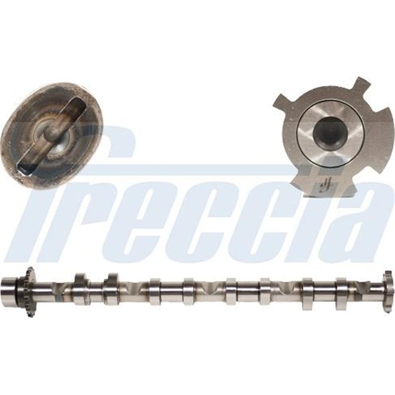 Ax cu came - Freccia-CM05-2248