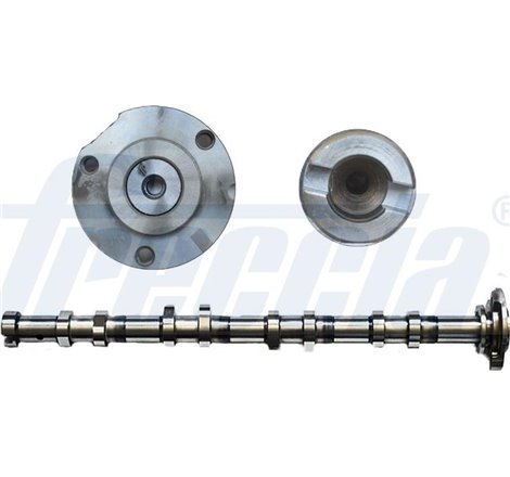 Ax cu came - Freccia-CM05-2257