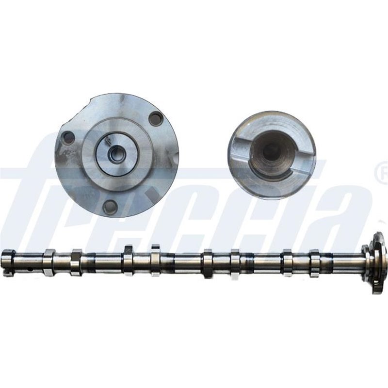 Ax cu came - Freccia-CM05-2257