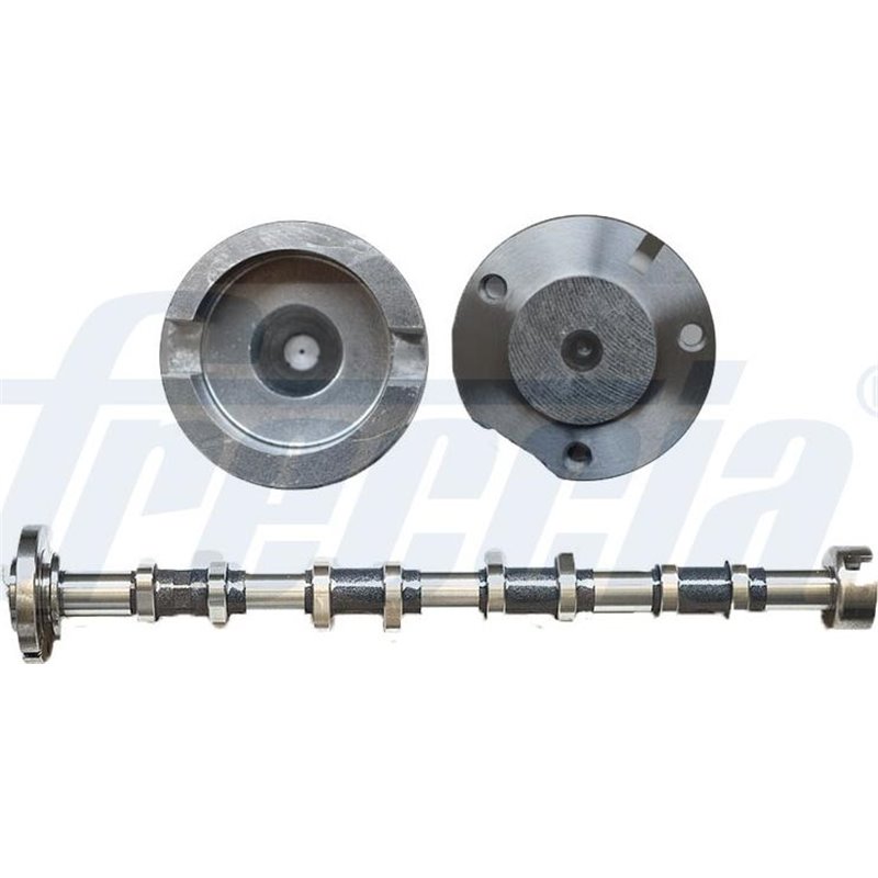 Ax cu came - Freccia-CM05-2258