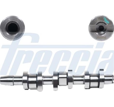 Ax cu came - Freccia-CM05-2263