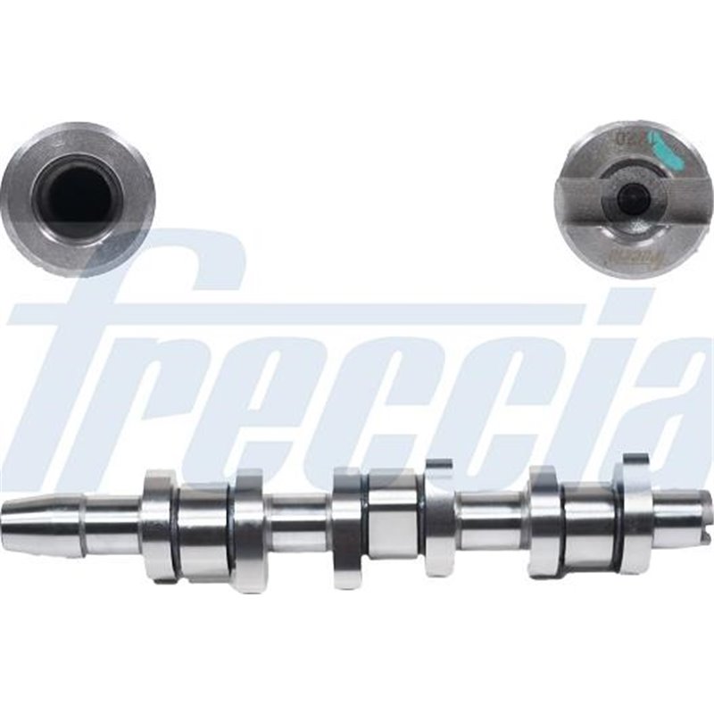 Ax cu came - Freccia-CM05-2263