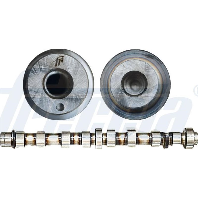 Ax cu came - Freccia-CM05-2264