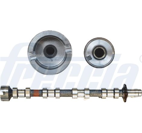 Ax cu came - Freccia-CM05-2271