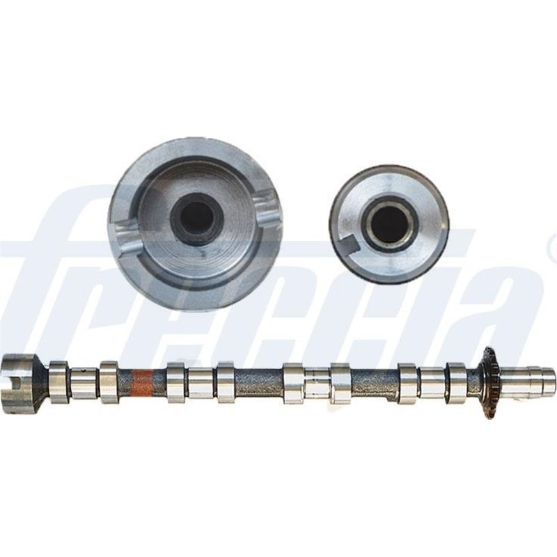 Ax cu came - Freccia-CM05-2271