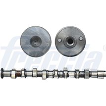 Ax cu came - Freccia-CM05-2272