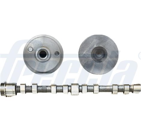 Ax cu came - Freccia-CM05-2273