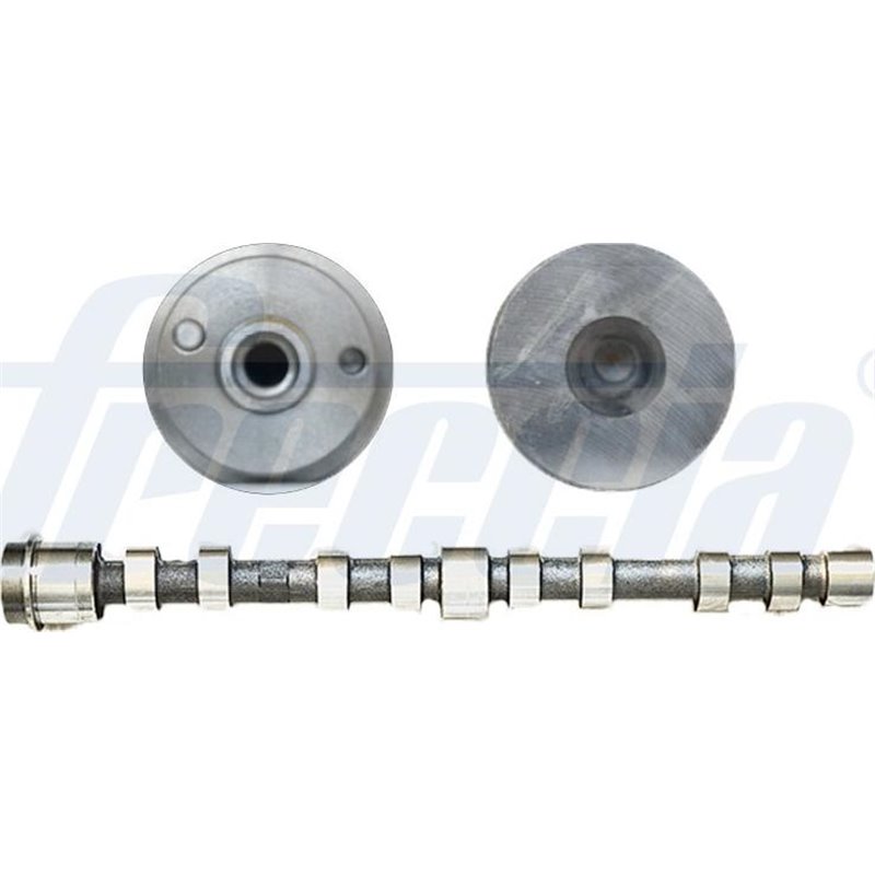 Ax cu came - Freccia-CM05-2273