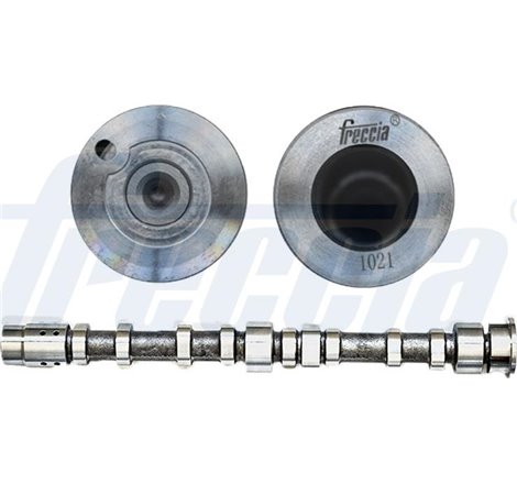 Ax cu came - Freccia-CM05-2274