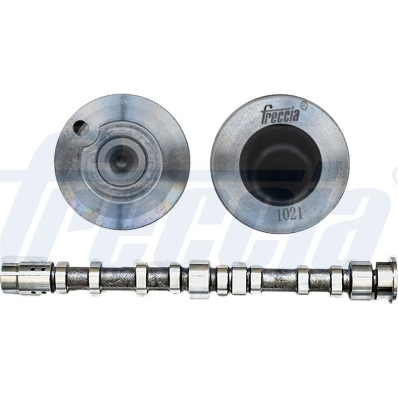 Ax cu came - Freccia-CM05-2274