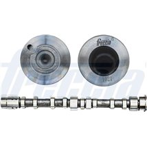 Ax cu came - Freccia-CM05-2274