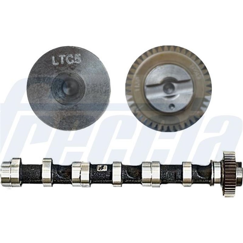 Ax cu came - Freccia-CM05-2279