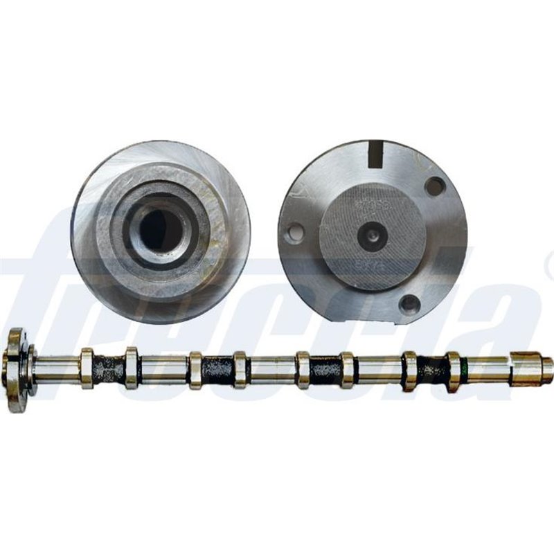 Ax cu came - Freccia-CM05-2289