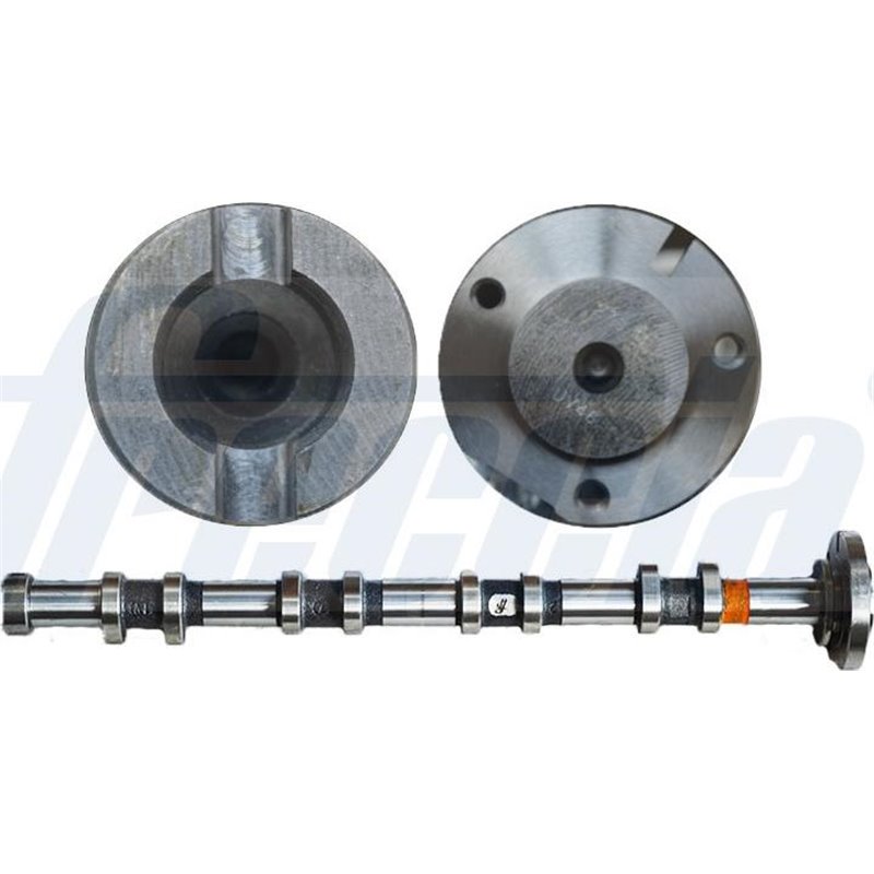 Ax cu came - Freccia-CM05-2290