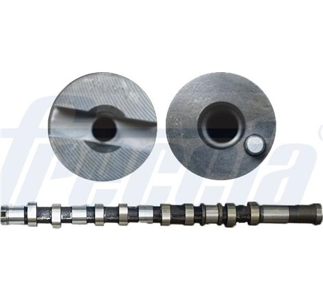 Ax cu came - Freccia-CM05-2299