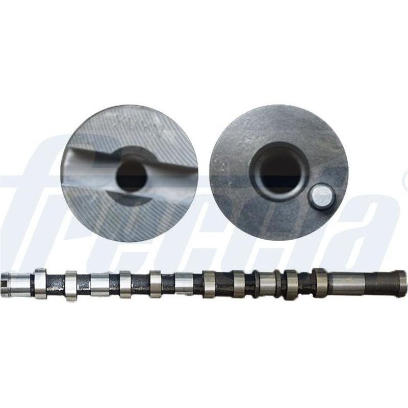 Ax cu came - Freccia-CM05-2299