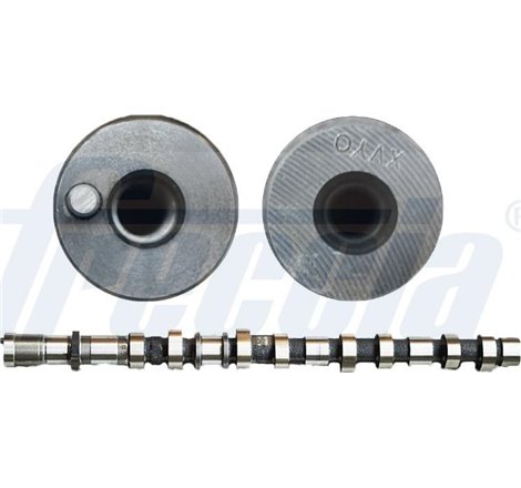 Ax cu came - Freccia-CM05-2300