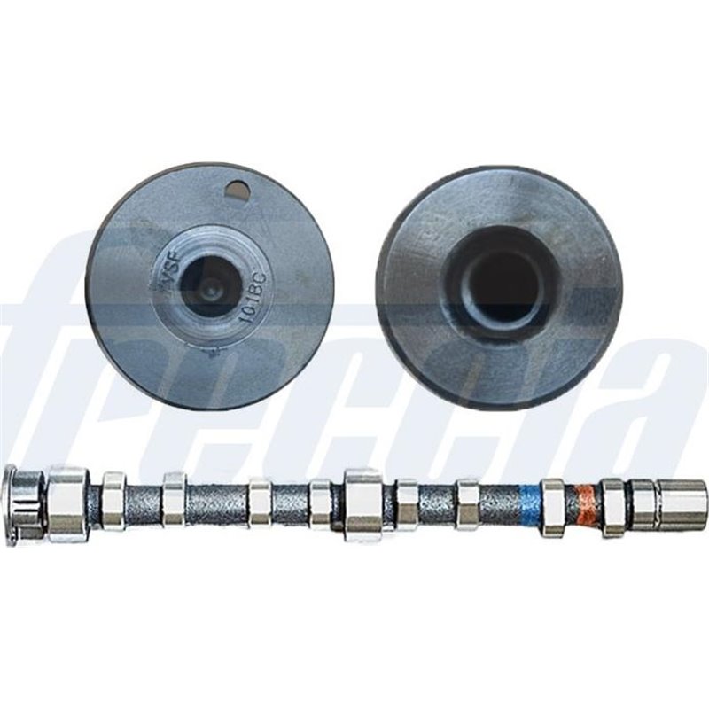 Ax cu came - Freccia-CM05-2308