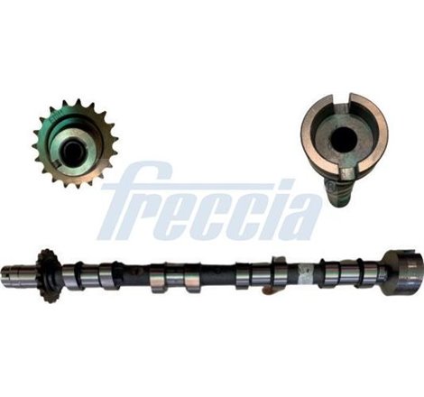 Ax cu came - Freccia-CM05-2361