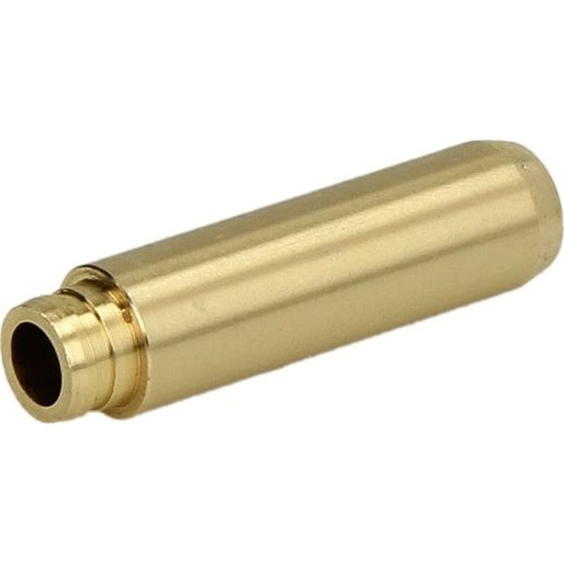 Ghid supapa - Freccia-G11523