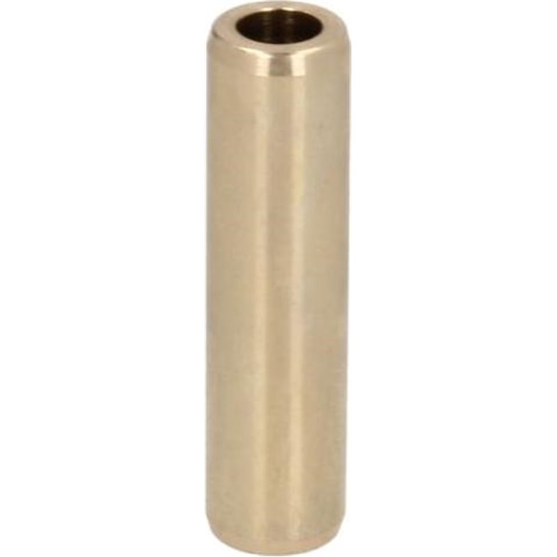 Ghid supapa - Freccia-G11621