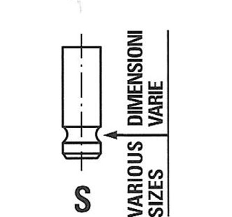Supapa evacuare - Freccia-R6476/RNT
