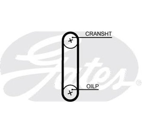 Curea de distributie - Gates-T371HOB - GATES-T371HOB