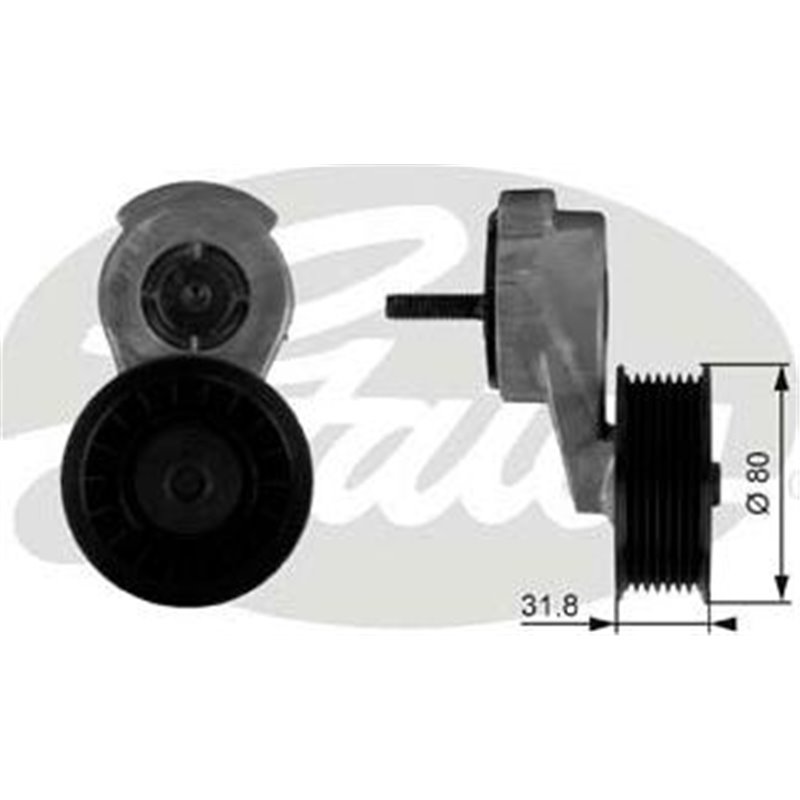 Intinzator curea, curea distributie - GATES-T38116