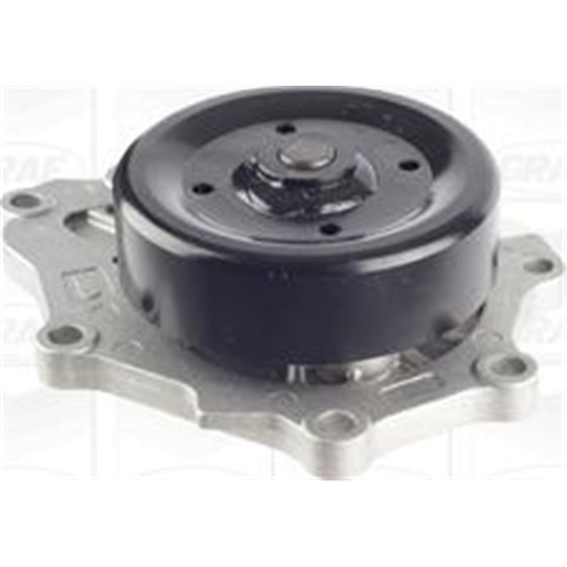 Pompa apa - Graf-PA1001