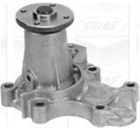 Pompa apa - Graf-PA1009