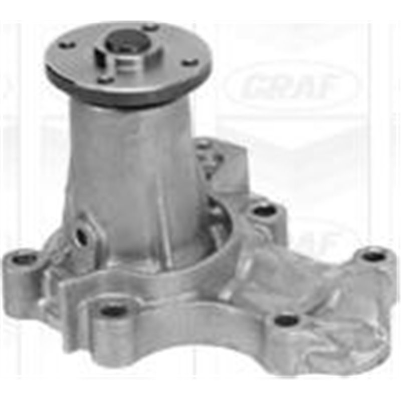 Pompa apa - Graf-PA1009