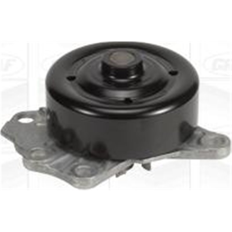 Pompa apa - Graf-PA1020