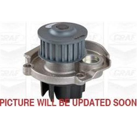 Pompa apa - Graf-PA1030