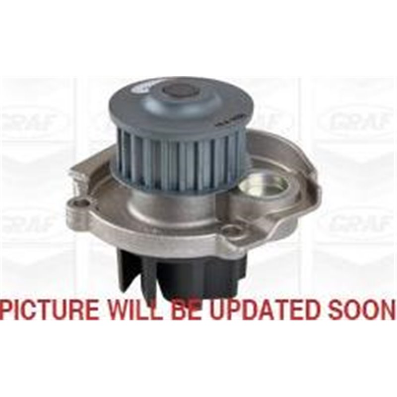 Pompa apa - Graf-PA1030