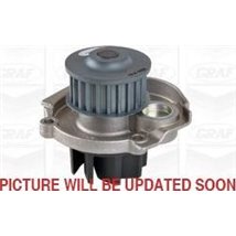 Pompa apa - Graf-PA1030